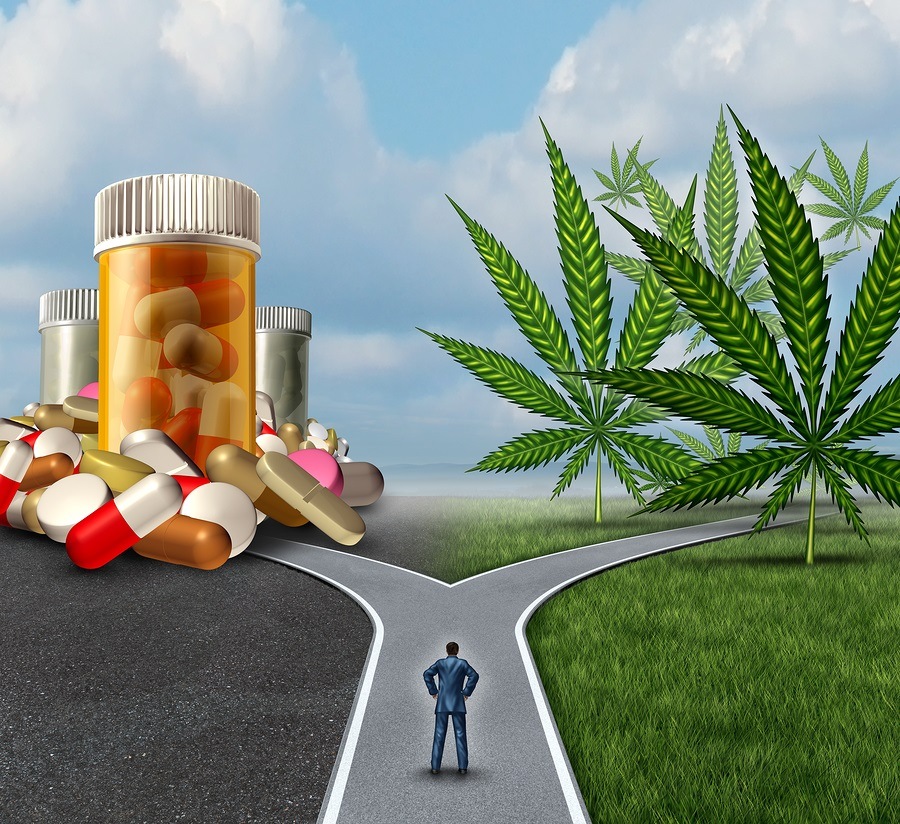 Medical-Cannabis-Choice.jpg