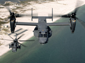 osprey_cv22_ch531-300x223.jpg