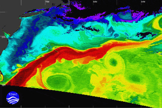 gulf_stream_modis.gif