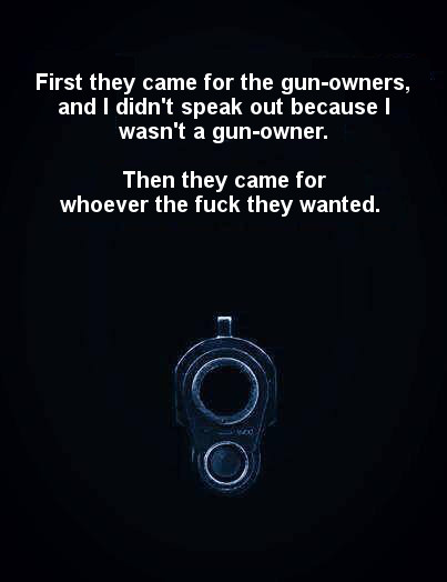 first-they-came-gun-owners-3.jpg