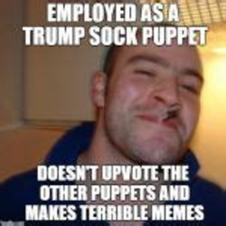 ee74c59819af6a4fd980baa113e52205.jpeg
