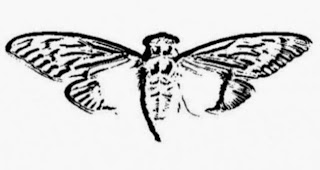 Cicada-3301.jpg