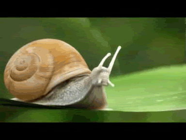 f284c4993b11b0443f56f8d0d0ea5d74.gif