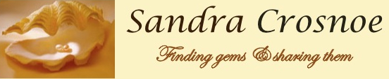 scbanner27.jpg