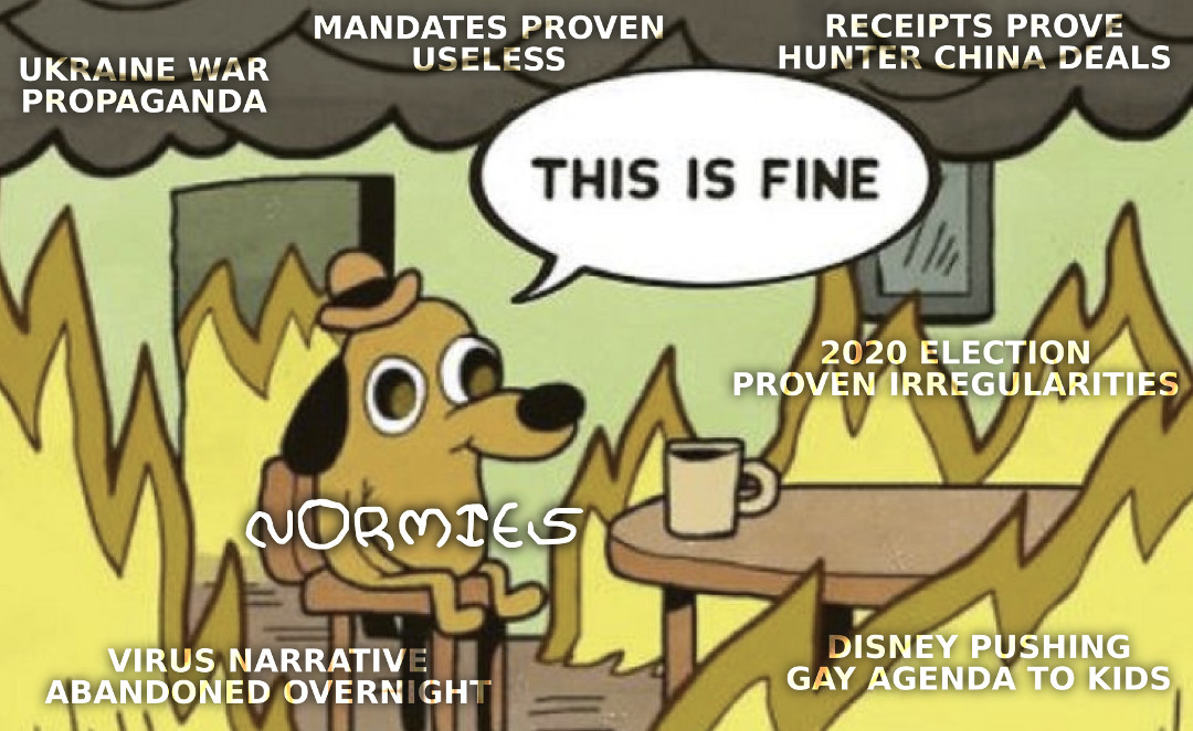 this-is-fine-normies.jpg