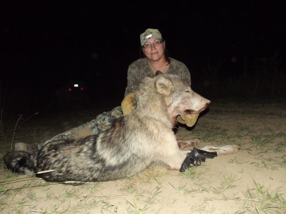 wolfattackswoman-580x434.jpg