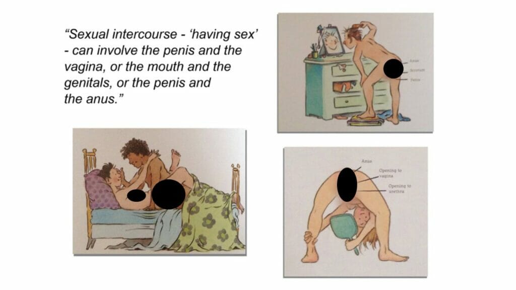pp-sex-ed-diagram-MN-1024x576.jpg