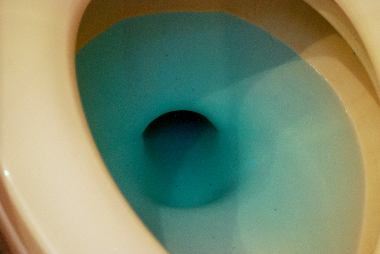 DSC_0003.JPG