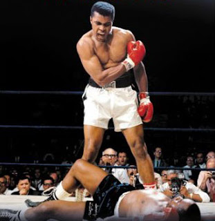 knock-out.jpg
