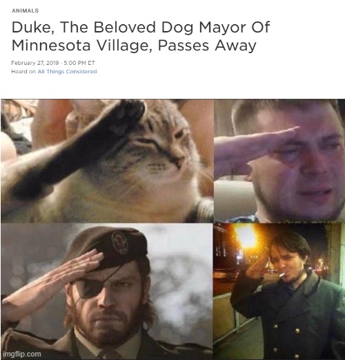 fygdh34nw0z51.jpg