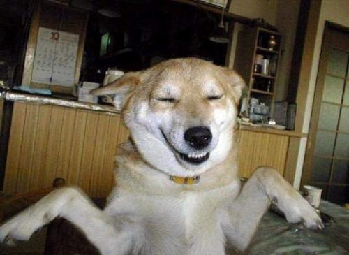 HehHehHeh-vi.jpg