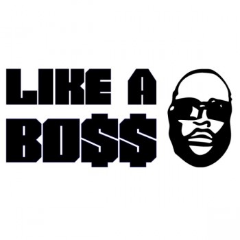 like-a-boss.jpg