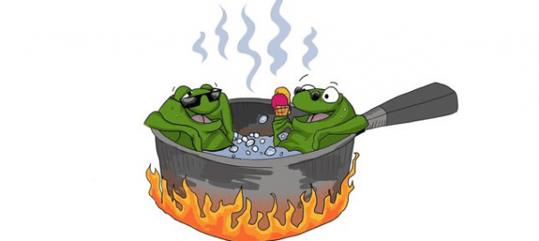 frogs_in_boiling_water-604x270.png