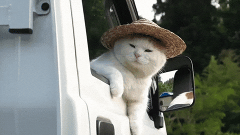 W920wi2GVMv96.gif