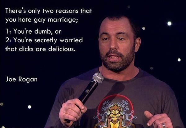 joe-rogan-gay-marriage.jpg