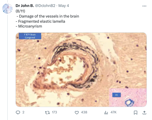 screenshot-2023-11-16-3.39.40-pm.png