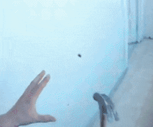 tumblr_otrq6nKQ2i1ufbwoco1_400.gif