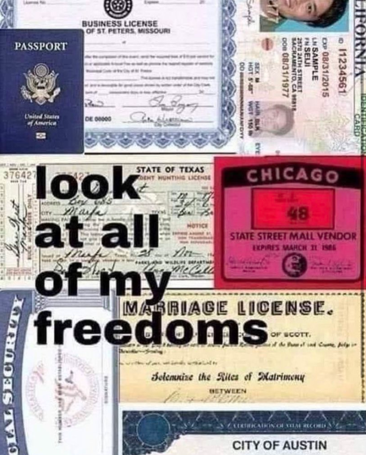 Look-At-All-of-My-Freedoms-Meme.png