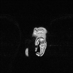 animated.gif