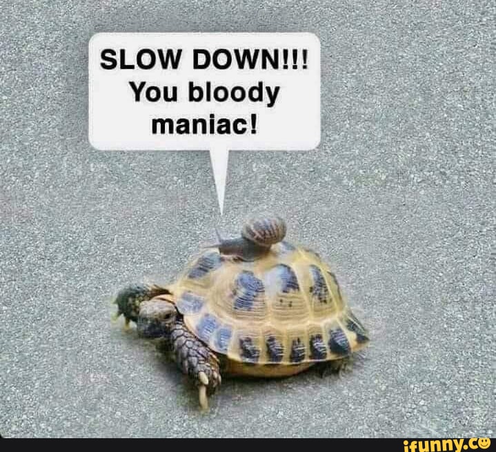 2e7a4fd2989f9f71254756f1ebb17b6e3c0f0c03da1e9fc6e74a269bb08732f8_1.jpg