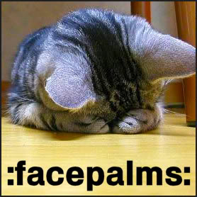 facepalm_cat.jpg