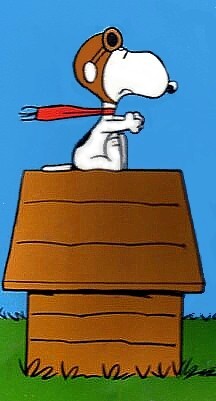 Snoopy_wwi_ace_lb-1-.jpg