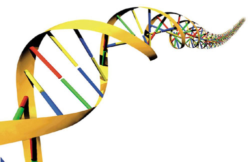 dna_500.jpg