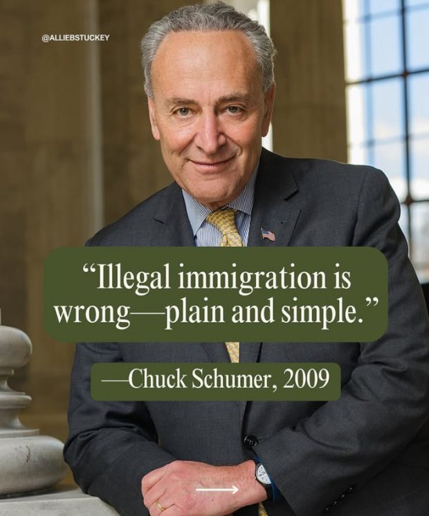 illegal-immigration-3-620x746.jpeg