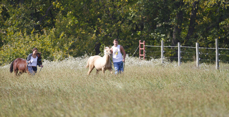 20121001_tuttle_horse_breaking_33631.jpg