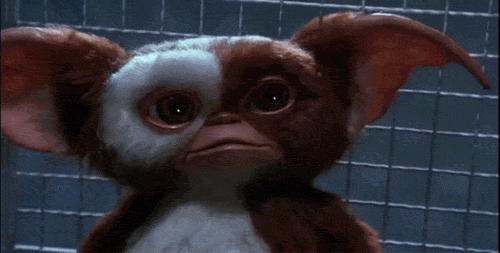 1120giz.gif