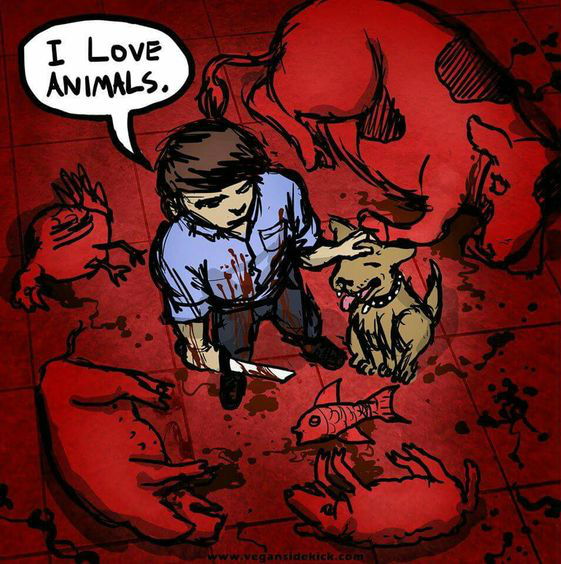 beef1fa0b7595e73e506028c0bff4fff.jpg