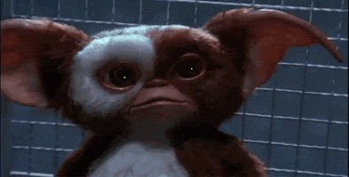 200_s.gif