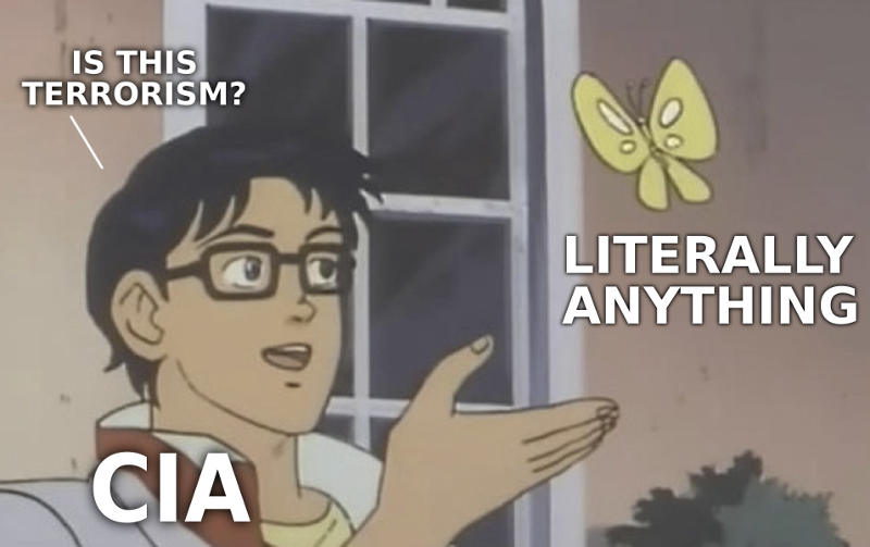 is-this-terrorism-cia.jpg
