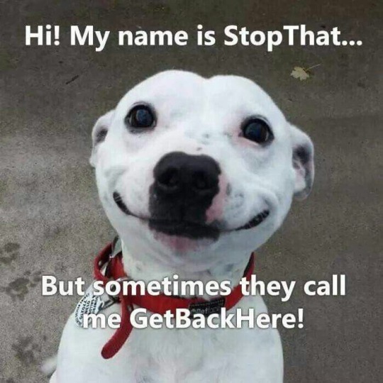 tumblr_pi3ht0fo0f1wohnyh_540.jpg