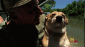 tumblr_mao5c4Al401qkfedt.gif