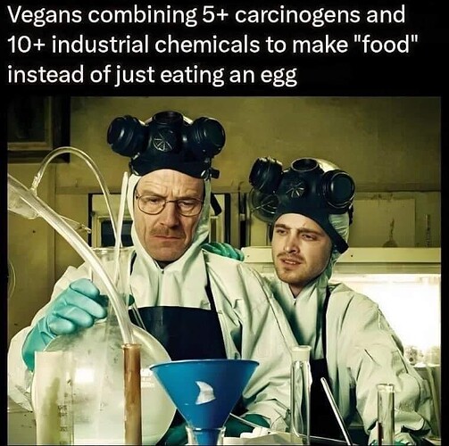 vegans-making-food-breaking-bad-egg.jpeg