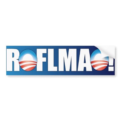 roflmao_anti_obama_bumper_sticker-p128536099389372093en8ys_400.jpg