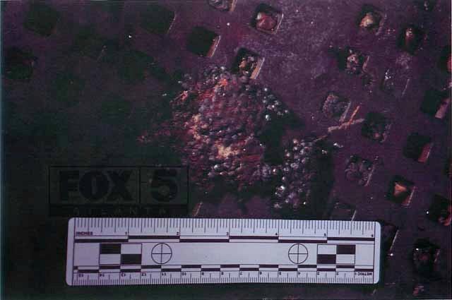 boston-bomb-ball-bearings.jpg