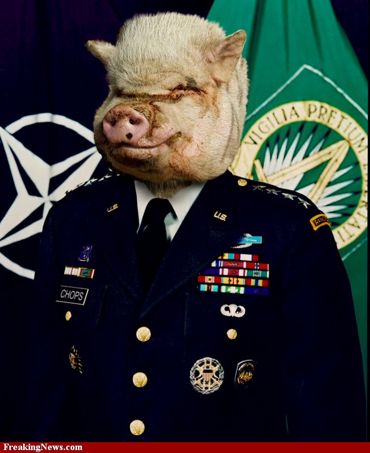 war-pig-161491.jpg