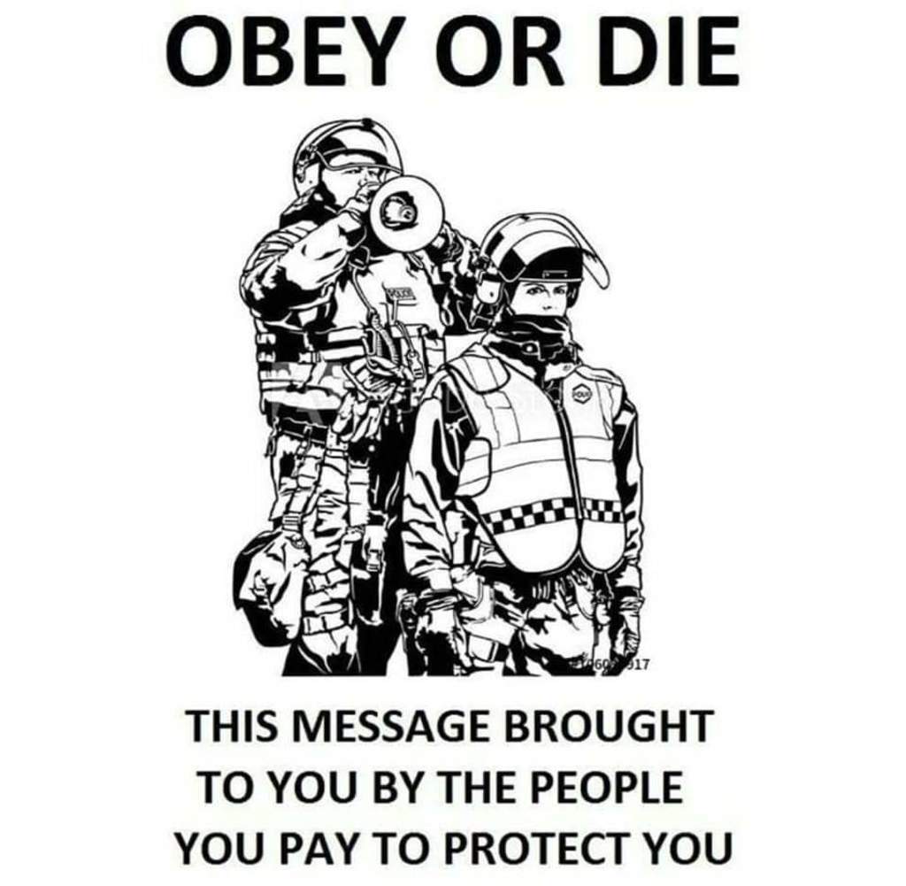 983388665039003648