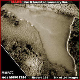05-221-M0901354.jpg