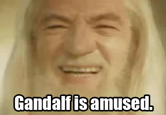 Gandalf_is_Amused_by_Hunter_Flood.jpg