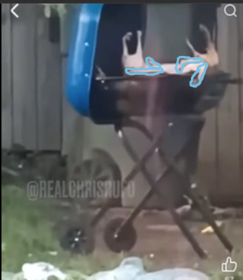 Cats-Grill3.png