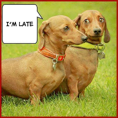 doxiejoke_imlate.jpg
