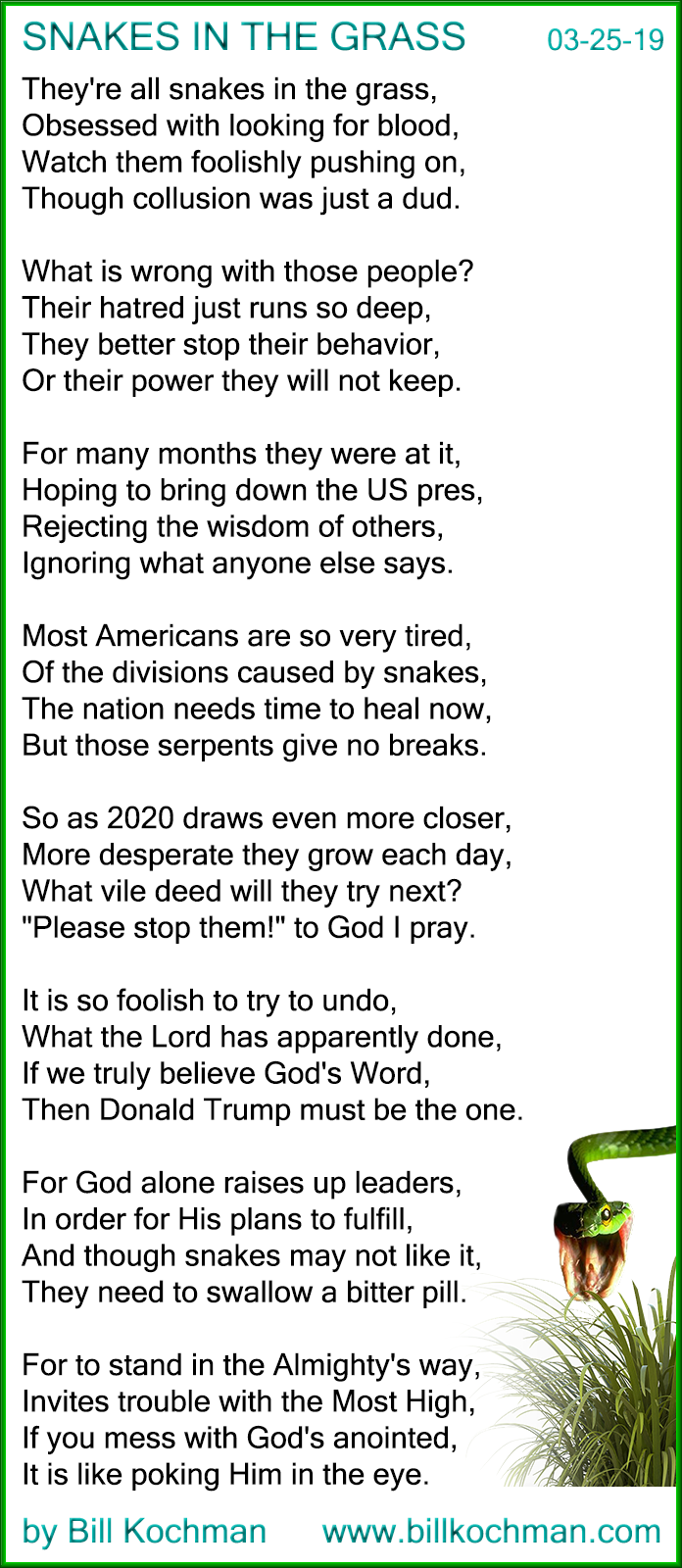 snakes-in-the-grass.png
