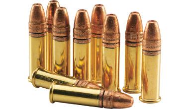 22_LR_Ammo.jpg