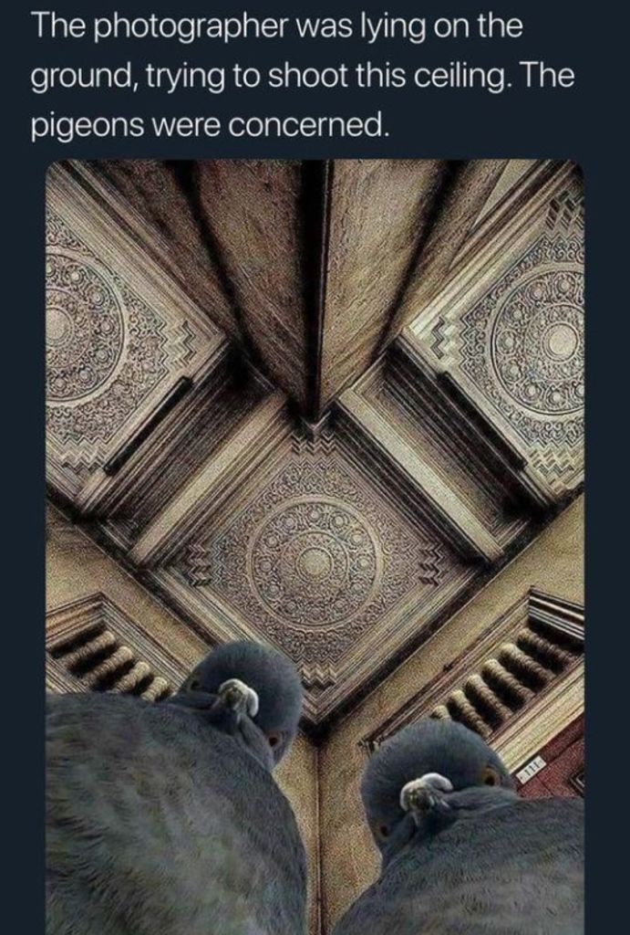 1002863424156938240