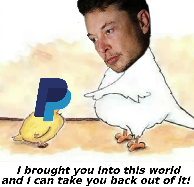 elon-paypal-brought-you-into-this-world.png