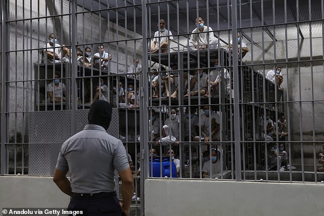 Pictured: A prison officer checks on inmates locked away in El Salvador's CECOT