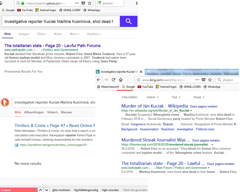 Google-_Slovak_reporter.png